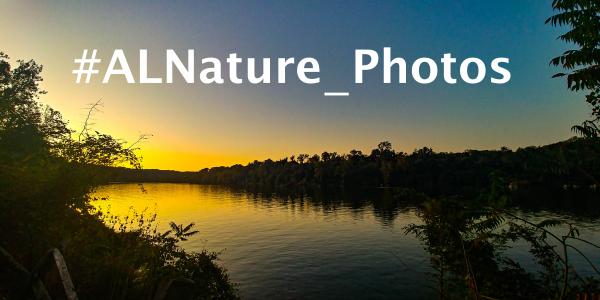 Image for event: Teen Nature Photos Contest