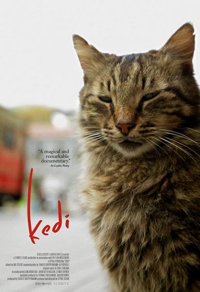 Image for event: Kedi
