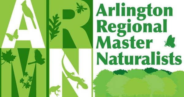 Image for event: Tree and Nature Walk with the Virginia Master Naturalists