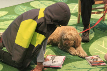 Image for event: Paws to Read Dogs &quot;Meet and Greet&quot;