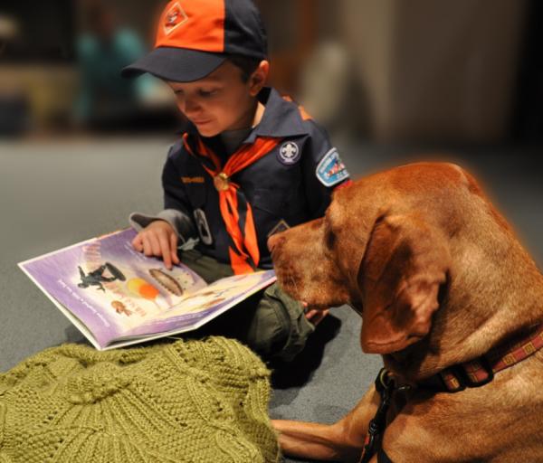 Image for event: PAWS to Read