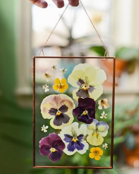 Image for event: DIY Pressed Flower Frames