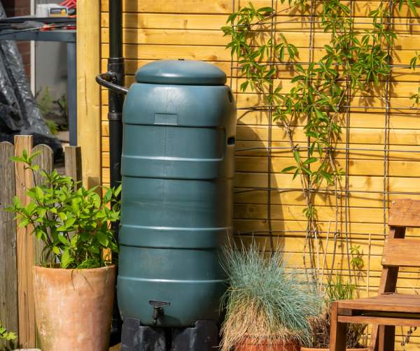 Image for event: Rain Barrel Paint By Number 