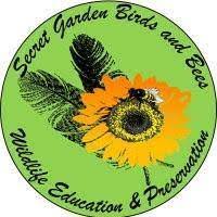 Image for event: Secret Garden Birds and Bees - Backyard Hawks and Owls