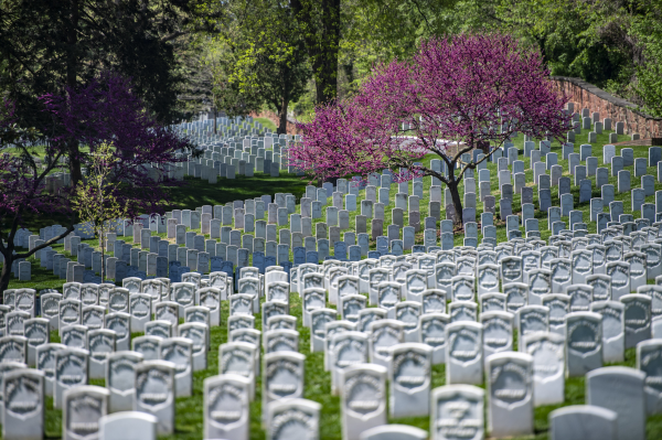 Image for event: History of African Americans at Arlington National Cemetery