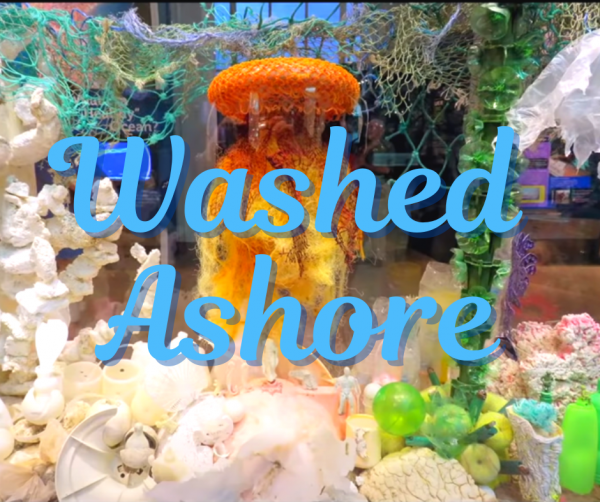 Image for event: &quot;Washed Ashore: Art to Save the Sea&quot;