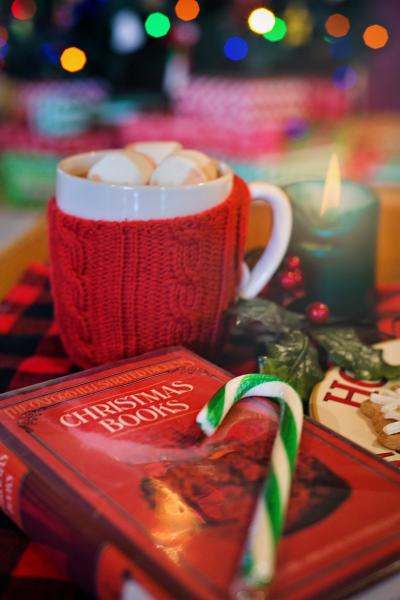Image for event: Winter Book Pairings