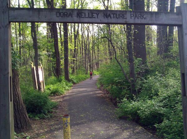 Image for event: A Guided Hike through Dora Kelley Nature Park
