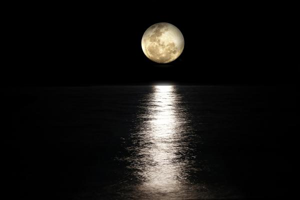 Image for event: A Multicultural Poetry Reading: Poems about the Moon