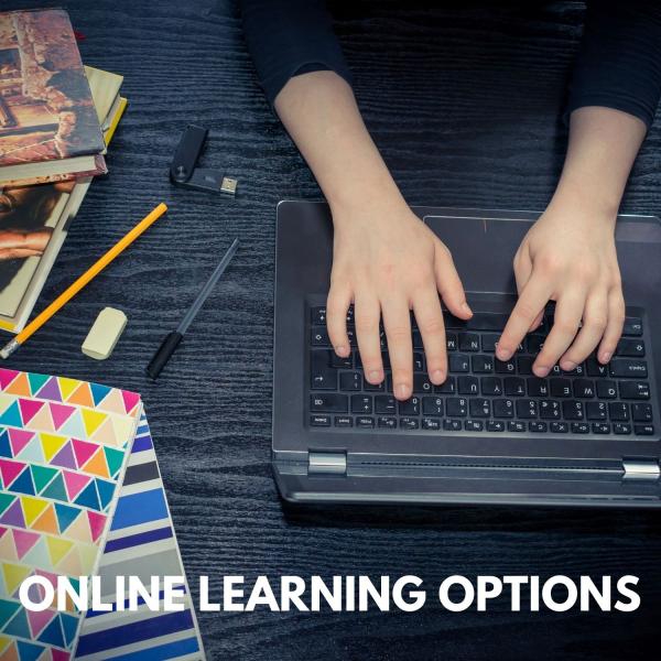 Image for event: Online Learning Options at the Library