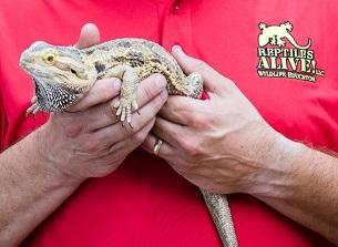 Image for event: Reptiles Alive